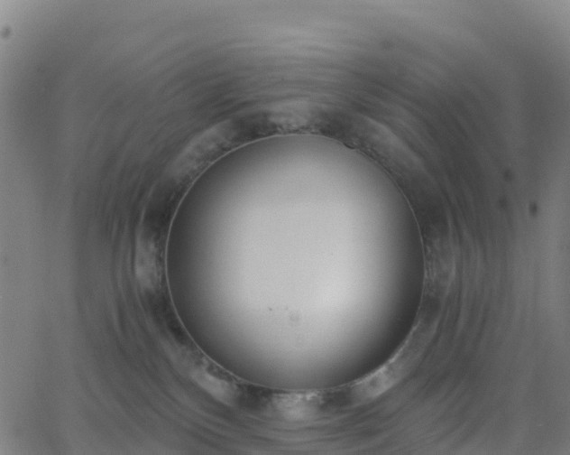 X0000062670136200512230956