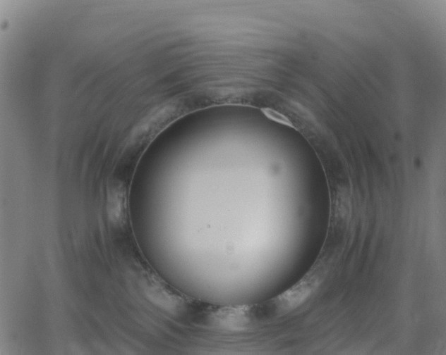 X0000062670138200512230956