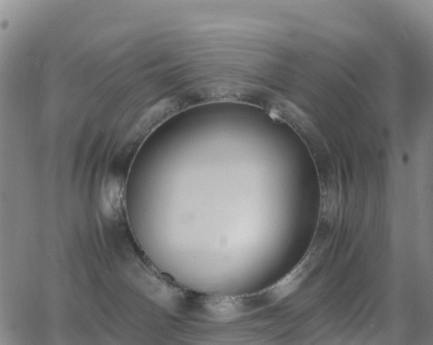 X0000062670142200512230956