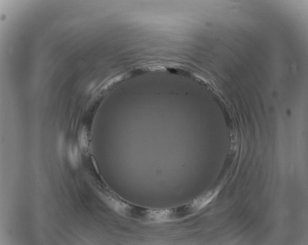 X0000062670143200512230956