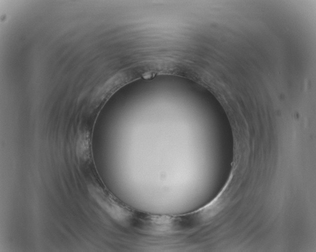 X0000062670144200512230956