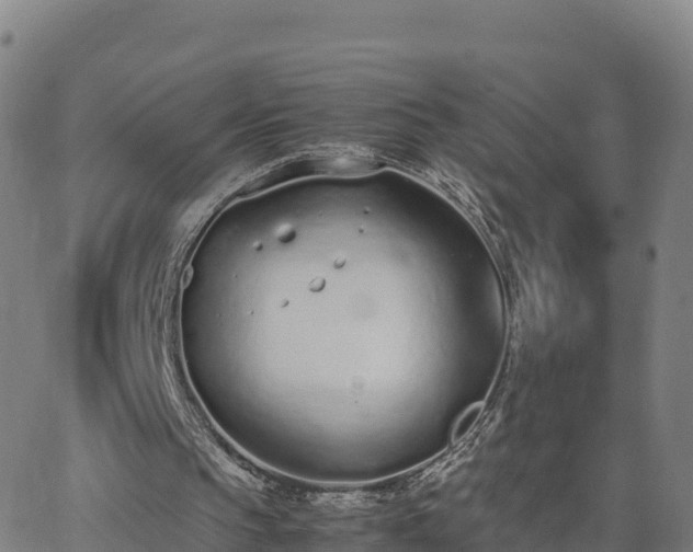 X0000062670145200512230955