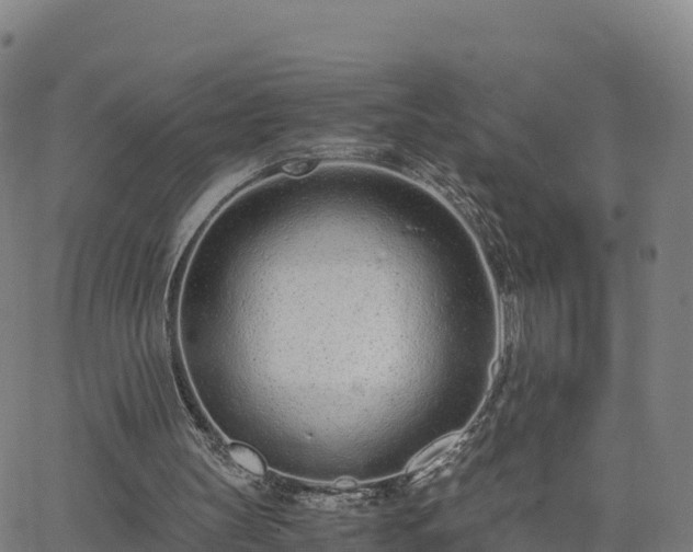 X0000062670147200512230955