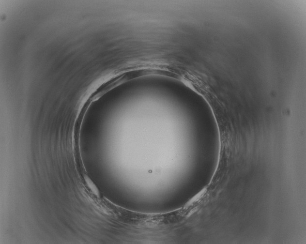 X0000062670148200512230955