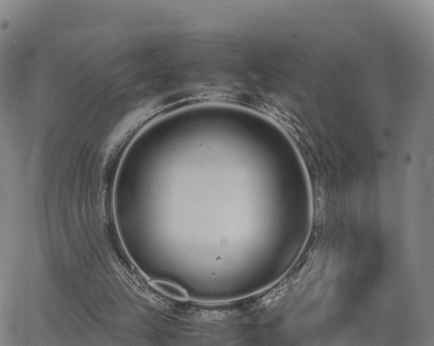 X0000062670149200512230955