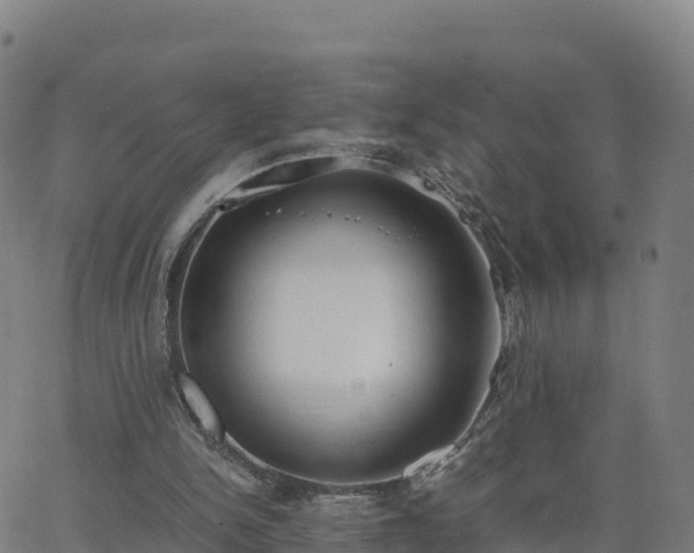 X0000062670150200512230955