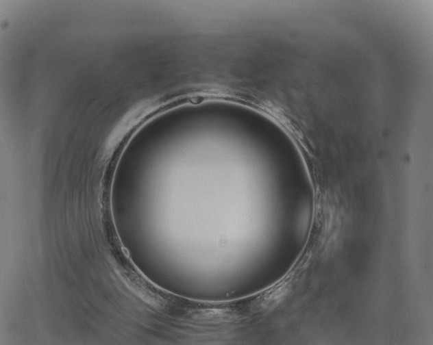 X0000062670151200512230955