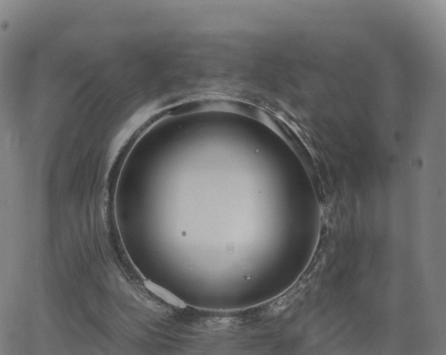 X0000062670152200512230955