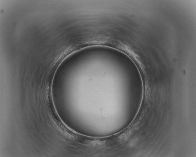 X0000062670153200512230955