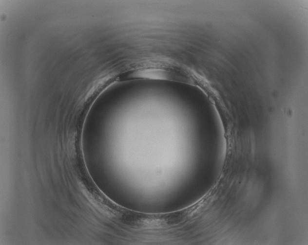 X0000062670154200512230955