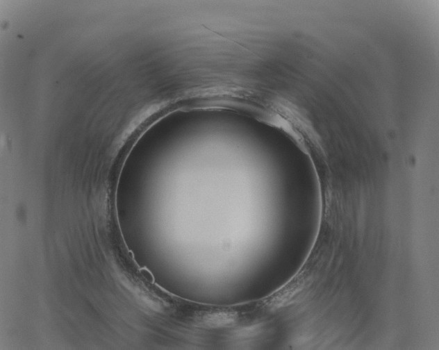 X0000062670156200512230955