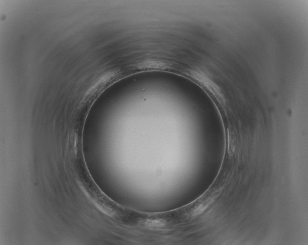 X0000062670157200512230955