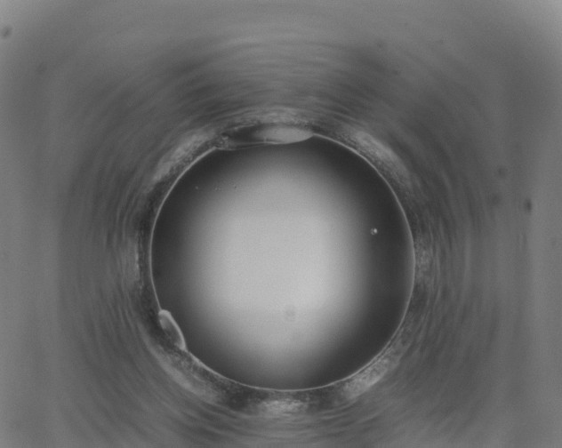 X0000062670158200512230955