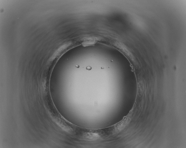 X0000062670159200512230955