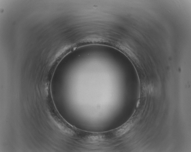 X0000062670160200512230955