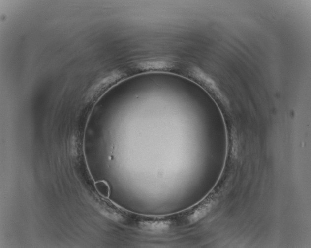 X0000062670161200512230955