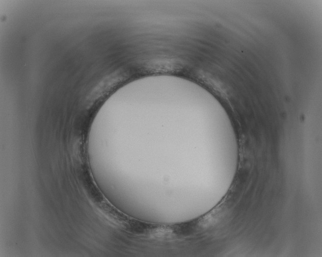 X0000062670162200512230955