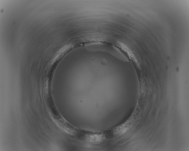 X0000062670163200512230955