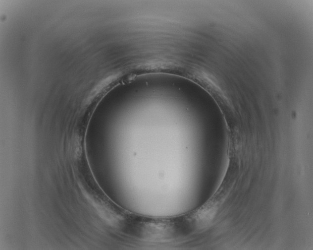 X0000062670164200512230956