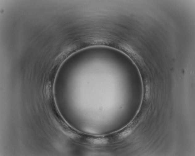 X0000062670165200512230956