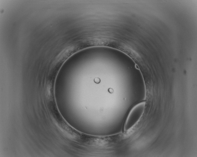 X0000062670166200512230956