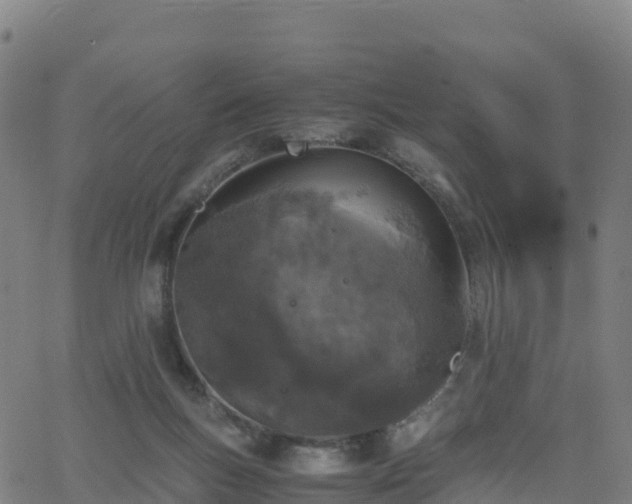 X0000062670167200512230956