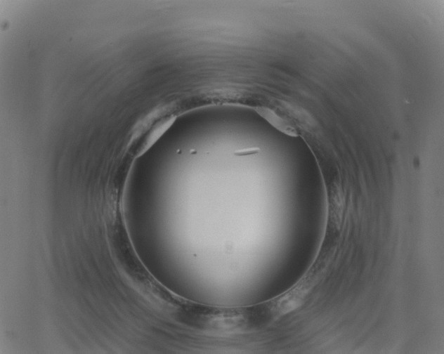 X0000062670168200512230956