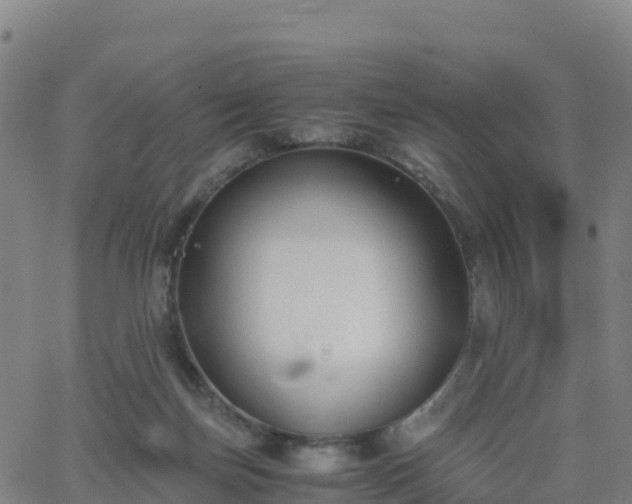 X0000062670171200512230956