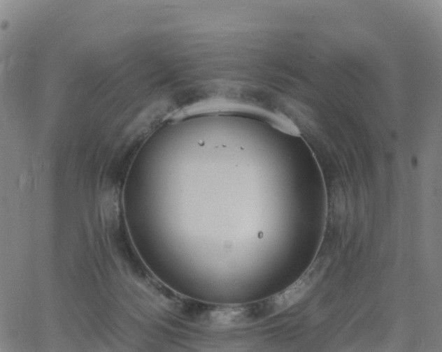 X0000062670172200512230956