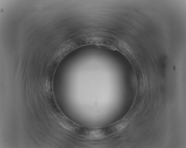 X0000062670173200512230956