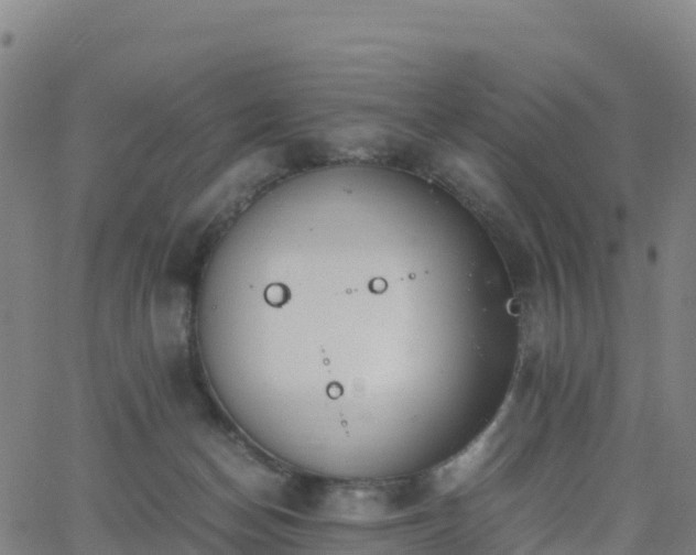 X0000062670174200512230956