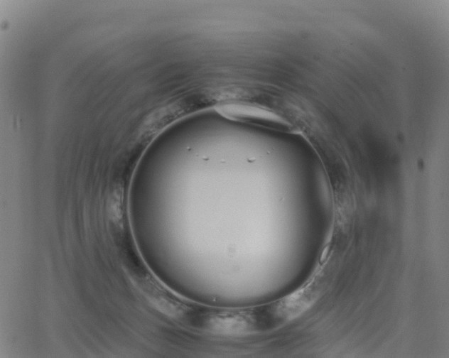 X0000062670175200512230956