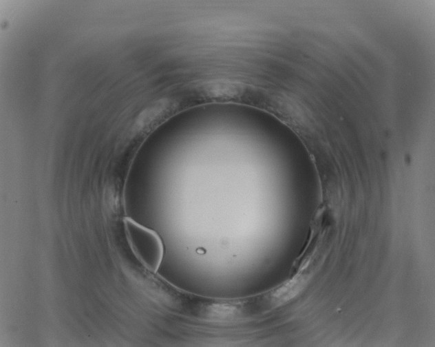 X0000062670176200512230956