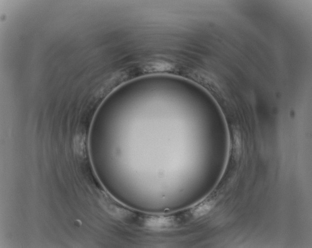 X0000062670177200512230956