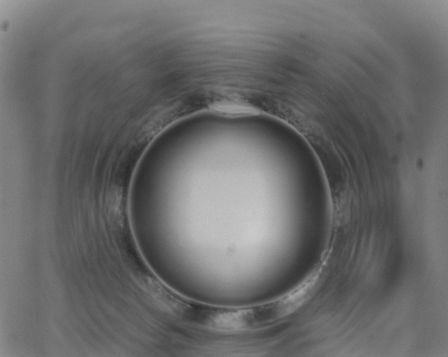 X0000062670178200512230956