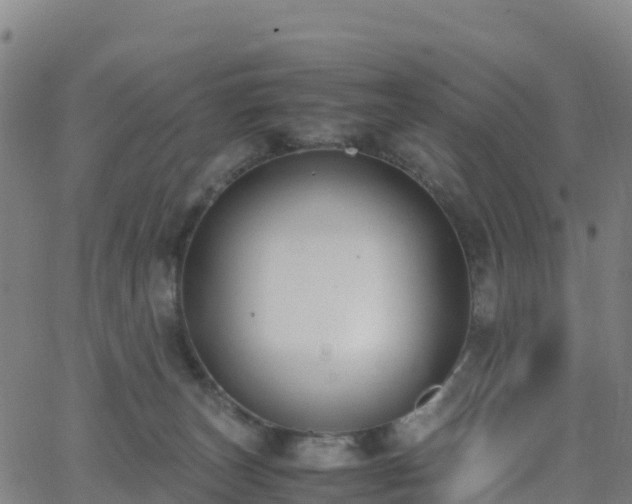 X0000062670179200512230956