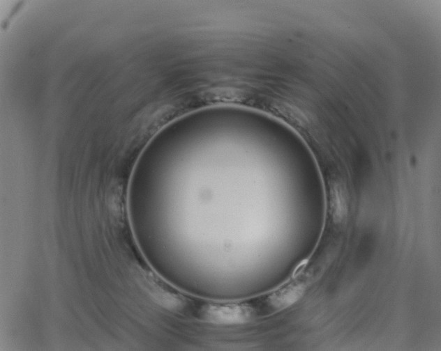 X0000062670181200512230956