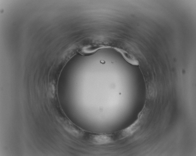 X0000062670183200512230956