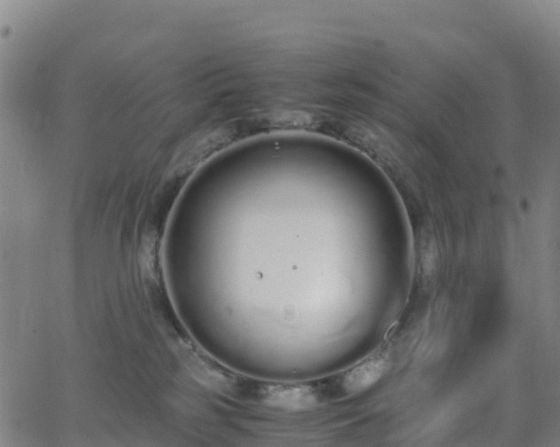 X0000062670185200512230956