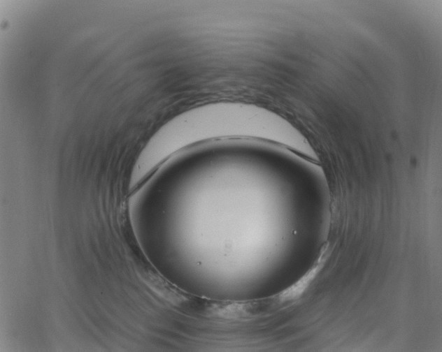 X0000062670186200512230956