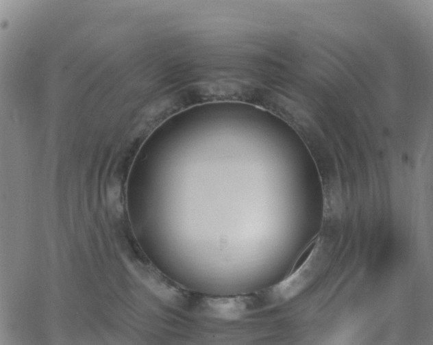 X0000062670187200512230956