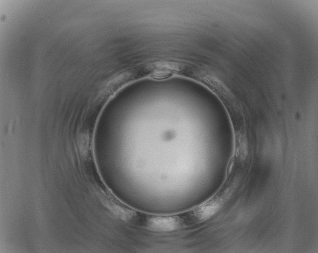 X0000062670189200512230956