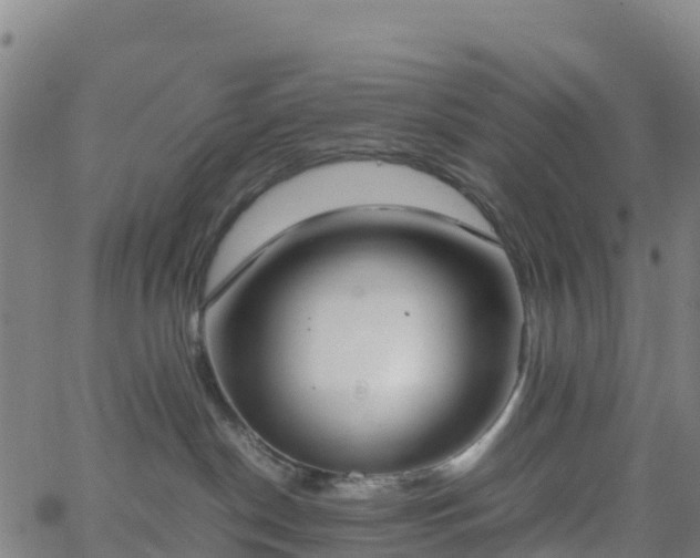 X0000062670190200512230956