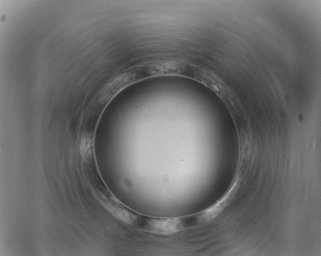 X0000062670191200512230956