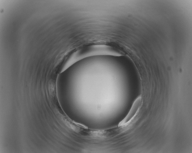 X0000062670192200512230956