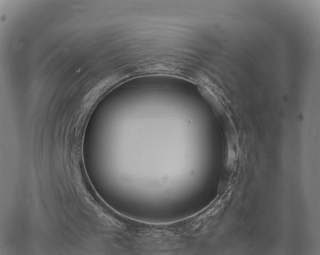 X0000062670193200512230955