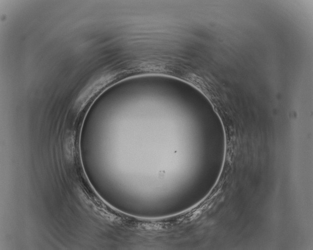 X0000062670194200512230955