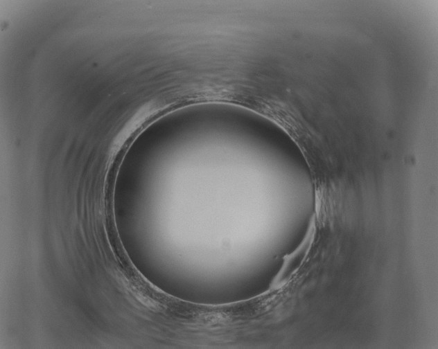 X0000062670195200512230955