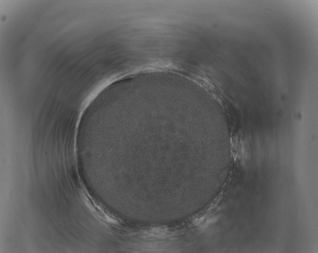 X0000062670196200512230955