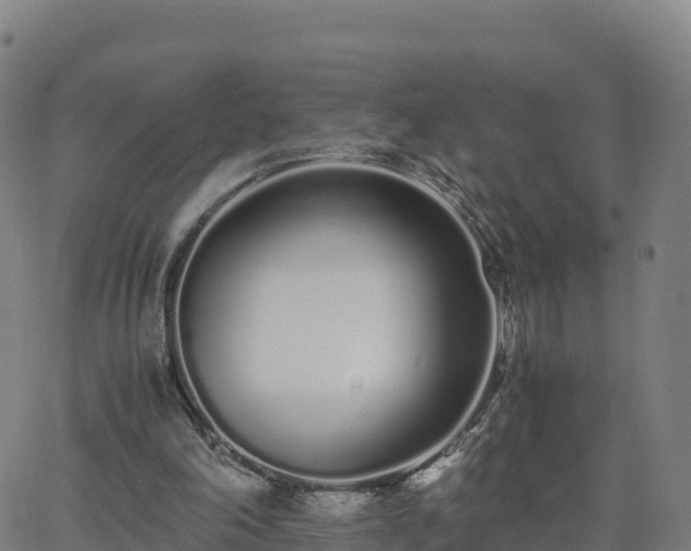 X0000062670198200512230955